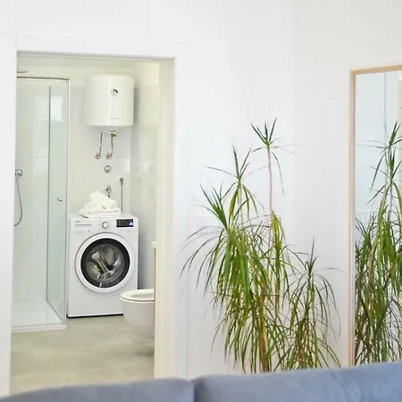 Modern Vitrenjak זאדאר